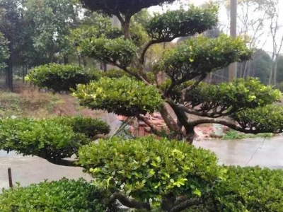 排風(fēng)管清洗